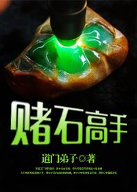 赌石高手首云树PDF